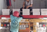 Dịch vụ bốc xếp tại KCN Huyện Hóc Môn giá rẻ trọn gói - CÔNG TY TNHH VẬN TẢI ĐỨC THỊNH
